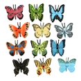 thumbnail image 1 of 12Pcs Class Teaching Butterfly Model Kit Educational Toys for Children Learning Studying Biology Insects Toy Collection, 1 of 9