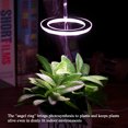 thumbnail image 4 of Fill Light Plants Glow Lights Garden Lamp High Quality Flower Durable USB Phytolamp Succulents LED, 4 of 5