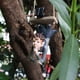 thumbnail image 4 of x resina Swing Genie creativo colgante patio jardín árbol madera, 4 of 5