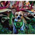 thumbnail image 5 of EcoBark Classic Dog Harness Max Comfort Eco-Friendly No Pull Pet Vest Puppy Harness for Small Large Dogs, 5 of 9