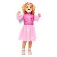 thumbnail image 1 of Paw Patrol Girls Skye Costume, 1 of 4