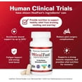 thumbnail image 4 of HealFast Surgery & Injury Recovery Supplement (Pre-Op): Quercetin, Probiotics Supplement for Wound, Liposuction, Tummy Tuck, and BBL Post Surgery Supplies, 4 of 6
