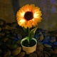 thumbnail image 4 of Girasol Solar Ground Light Interruptor automático LED Path Yard Lights para patio Ndcxsfigh Para estrenar, 4 of 9