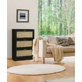 thumbnail image 2 of Loft & Luv Natural Rattan Shoe Cabinet w/ 3 Doors in Black, 2 of 8