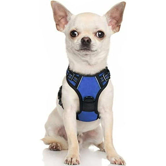 rabbitgoo Dog Harness No-Pull Pet Harness with 2 Leash Clips Adjustable Soft Padded Dog Vest Reflective No-Choke Pet Oxford Vest with Easy Control Handle for Large Dogs Orange L