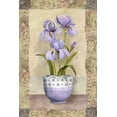 thumbnail image 2 of White, Abby 17x24 Gold Ornate Wood Framed with Double Matting Museum Art Print Titled - Spring Iris, 2 of 4