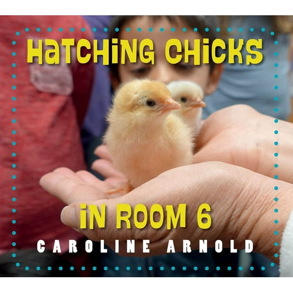 Life Cycles in Room 6 Hatching Chicks in Room 6, (Paperback)
