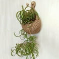 thumbnail image 4 of SHAGUOZHOU 5lb Flour Storage Container Pizza Storage Containers with Lids Hanging Wall Vegetable Fruit BasketsHanging Teardrop Wall Planters Hanging Pot Rack Wall Planter For Succulent, 4 of 4
