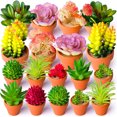 thumbnail image 4 of 24 Pcs Succulents Plants Artificial Set Hanging Planters for Indoor Plants Mini Succulents Artificial Plants & Flowers Diy Fake Succulents - by Coolmade, 4 of 7