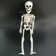 thumbnail image 3 of Esqueleto humano realista de 40 cm para decoración de Halloween, casa, bar, 3 of 8