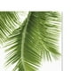 thumbnail image 4 of 2 Unids Tropical Pintura De La Lona Hojas Monstera Planta Cl Decoración De Imagen De perfecl Pintura al óleo moderna de la lona, 4 of 8