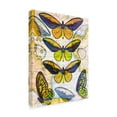 thumbnail image 2 of Trademark Fine Art 'Butterfly Map I' Canvas Art by John Butler, 2 of 4