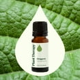 thumbnail image 3 of Plant Therapy Oregano Essential Oil 10 ml (1/3 oz) 100% Pure, Undiluted, Natural Aromatherapy for Diffuser, Cleaning, DIY  Products, 3 of 8