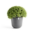 thumbnail image 4 of Ecopots Oslo Durable Modern Round Indoor/Outdoor Recycled Based Composite Flower Pot Planter, Grey, 25.5", 4 of 4