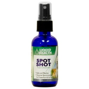 colloidal silver for cats