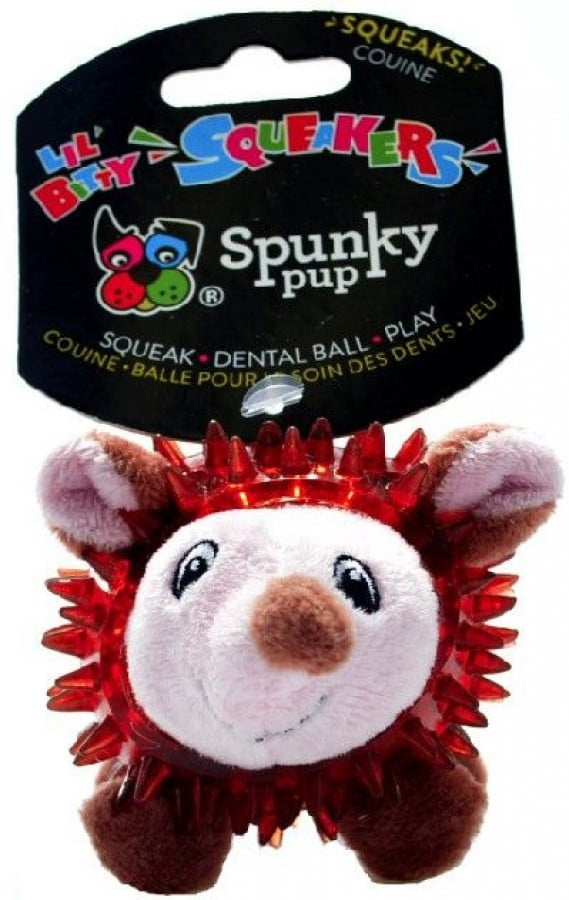 hedgehog dog toy walmart