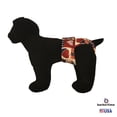 thumbnail image 2 of Barkertime Hearts and Patriotic Love Washable Dog Diaper - Made in USA, 2 of 6