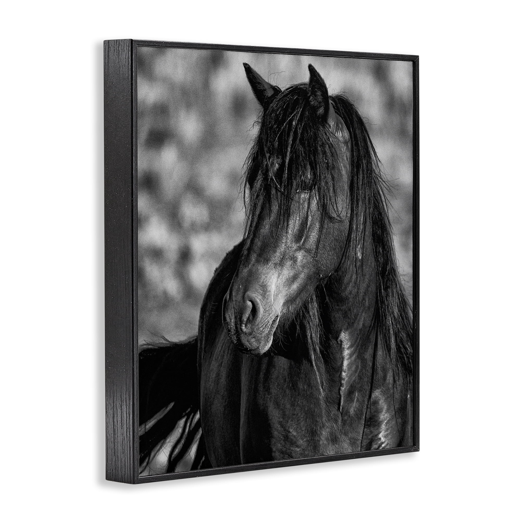 Stupell Industries Beauty In Black Black Framed Giclee Art, design by Tim West