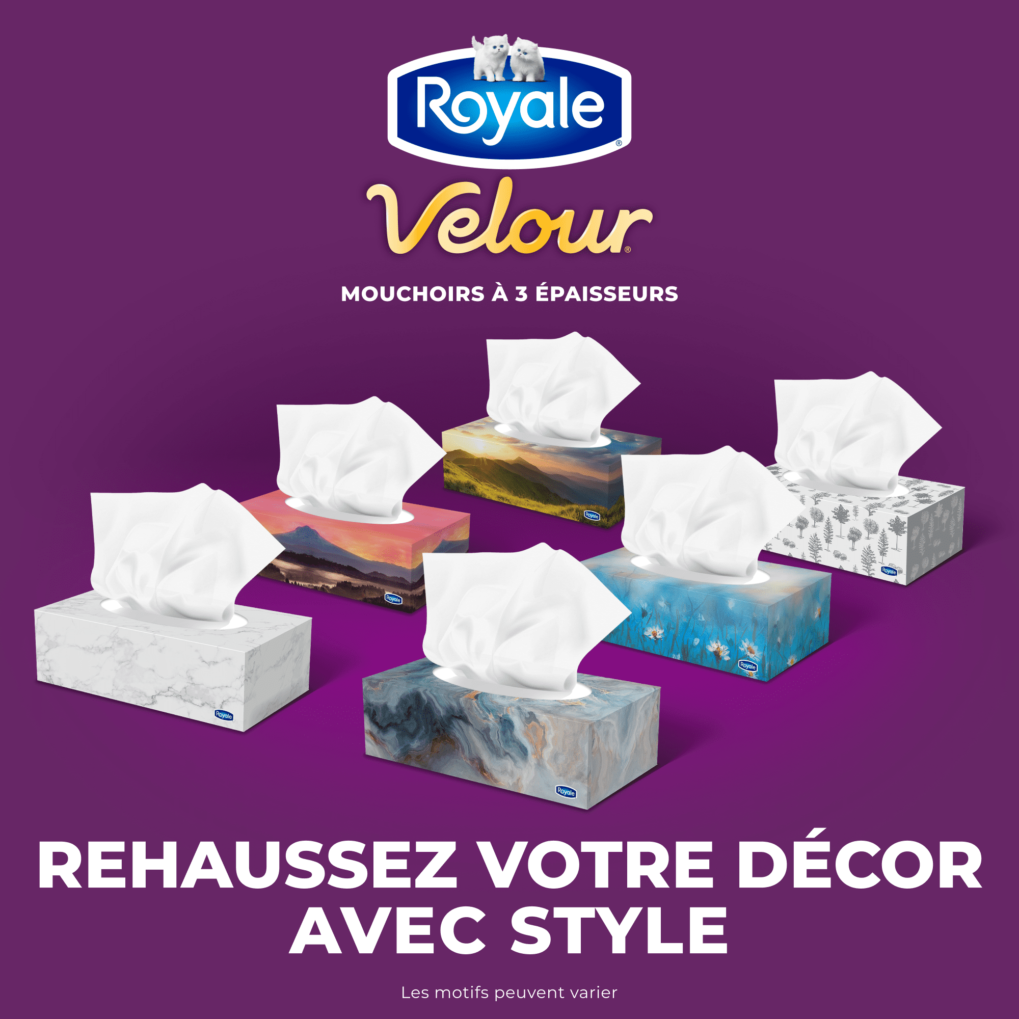 Royale Velour, 3 Ply Facial Tissue, 12 Flat Boxes, 82 Tissues per Box