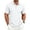 A007-Light Gray, variant on USA 250th Anniversary Print Polo Shirts for Men Casual Patriotic Short Sleeve Relaxed Fit Anniversary 250 Patriotic American Flag Graphic Tee