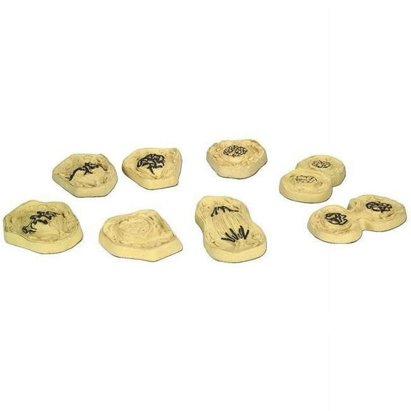 Mitosis Model, Set of 8 Models - Enlarged - 4" x 5.8" Each - Eisco Labs