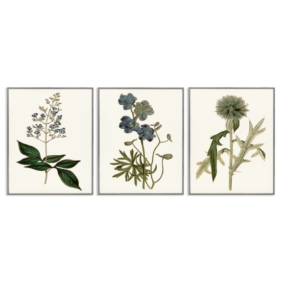 Stupell Industries Vintage Blue Botanical Flowers on Beige Design by Curtis, 3 Piece, 11" x 14", Gray Framed