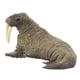 thumbnail image 4 of Home Decoration Animal Model Toy Realistic Hand Painted Plastic Three-dimensional Walrus Figurine Children Toy For Games Educational Purposes ANGGREK Otros, 4 of 7