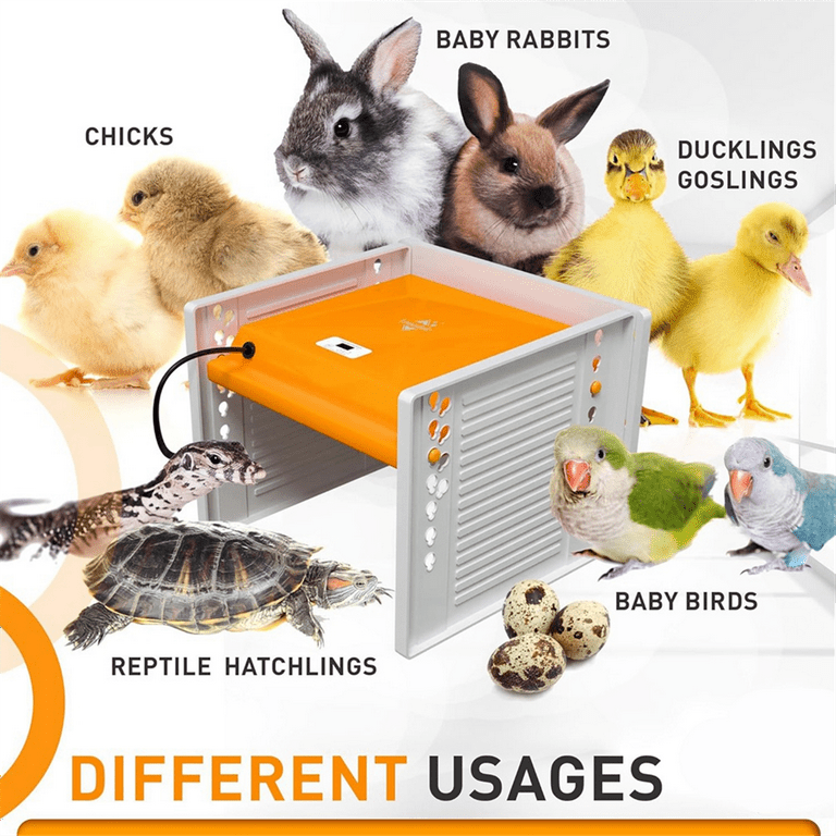 HOWOOIUA Upgraded Chicken Brooder Heating Plate with Adjustable Height & Angle, Thermostatic Control Chick Warmer Pad for Ducklings, Quail, and Birds (Temp-Adjust Brooder Heater) (Basic