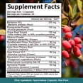 thumbnail image 6 of Bcuelov GLP-1 Probiotics, An 11-in-1 Probiotic Formula Containing Akkermansia and Berberine, Polyphenol Activated, 120 Capsules, 6 of 6
