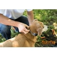 thumbnail image 3 of Mighty Paw Martingale Training Dog Collar, Limited Cinch Chain, 3 of 9