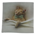 thumbnail image 2 of Cat |  Cat Paw | Cat Pillow | Cute Cat | Cat Gifts | Cat Decor | Cat Photo | Gifts for Cat Lovers | Accent pillow | Throw Pillow Covers, 2 of 5