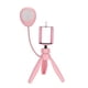 thumbnail image 2 of Lámpara de Luz de Relleno de Belleza Bling Bling Plegable para Transmisión en Vivo con Trípode y Soporte para Teléfono, 2 of 8