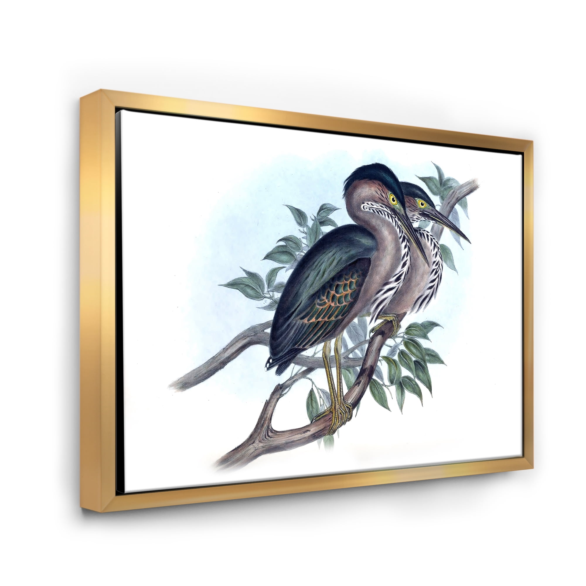 Designart 'Ancient Australian Birds VII' Traditional Framed Canvas Wall Art Print