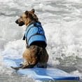 thumbnail image 5 of Dogs Life Jackets Dogs Lifesaver Vest with Rescued Handle for Swimming Boating, 5 of 19
