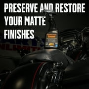 Flitz Matte Finish Surface Cleaner Spray, Metal Degreaser Spray for All Surfaces, 7.6 oz