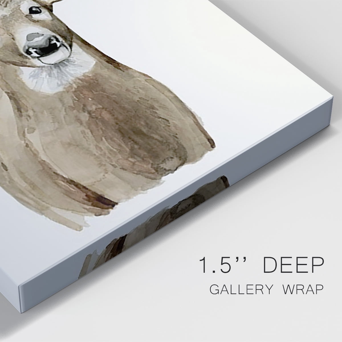 Handsome Whitetail II Premium Gallery Wrapped Canvas - Ready to Hang