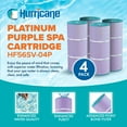 thumbnail image 3 of Hurricane 4 Pack HF56SV-04P Platinum Purple Pool Filter Cartridge Replacement, 3 of 7