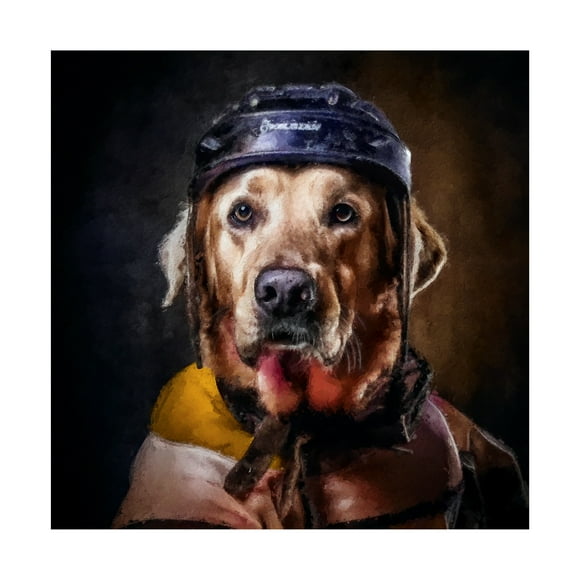 Canvas Wall Art - Sean Parnell 'Hockey 1' Wall Art for Living Room, Bedroom, or Office Décor by Trademark Fine Art - 14 x 14 Inches