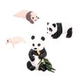 thumbnail image 2 of Modelo de Ciclo de Vida de Animal Panda de 4 Piezas Perfecl Juguete Cognitivo Accesorios Educativos para Niños, 2 of 8