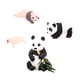 thumbnail image 2 of Modelo de Ciclo de Vida de Animal Panda de 4 Piezas Perfecl Juguete Cognitivo Accesorios Educativos para Niños, 2 of 8