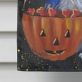 thumbnail image 4 of Carolines Treasures PPP3186CHF Sheltie Halloween Witch Flag Canvas House Size  Large multicolor, 4 of 4