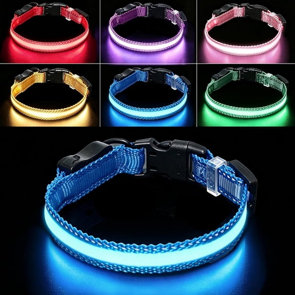 GASTROPOD Usb Rechargeable Led Dog Collar,Waterproof,Adjustable,Glowing,For Large Dogs,Night Walking,Camping,Jogging,Blue,L (Neck 18-28",Width 1")