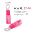 thumbnail image 2 of Wirefy 150 terminales de anillo termorretráctiles #6 - Conectores de anillo resistentes - Conectores de cable con ojales - Rojo 22-16 AWG, 2 of 5