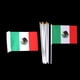 thumbnail image 3 of Matsuzay 12PCS Flag Flags Banner Hand Waving National Flag Pride Flag Kits de decoración para fiestas México, 3 of 6