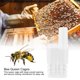 thumbnail image 3 of Jaulas De Abeja Reina A Prueba De Escape, Herramienta De Apicultura Jaulas De Abeja Reina De Plástico, Ligeras Para Apicultura Para Abejas Prisioneras, 3 of 7