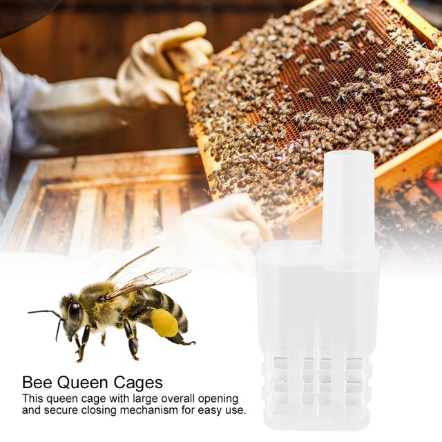 Escape 20 Piezas De Plástico A Prueba De Escape, Jaulas De Abeja Reina, Caja Aislante, Herramienta De Movimiento De Cría De Apicultura