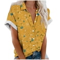 thumbnail image 1 of Mujeres Pantalones Cortos Casual Hawaii Impreso Manga Corta Blusa Superior, Regular Ajuste Sudadera de Verano Sexy, 1 of 5