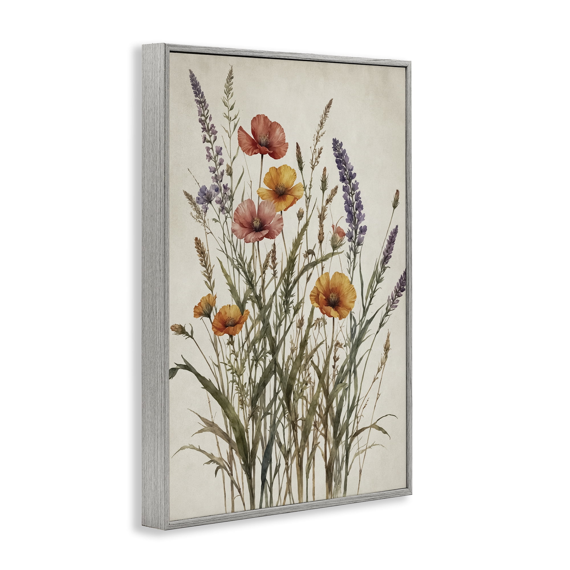 Stupell Industries Vintage Collection of Meadow Botanicals Gray Framed Giclee Art, design by Nataly White