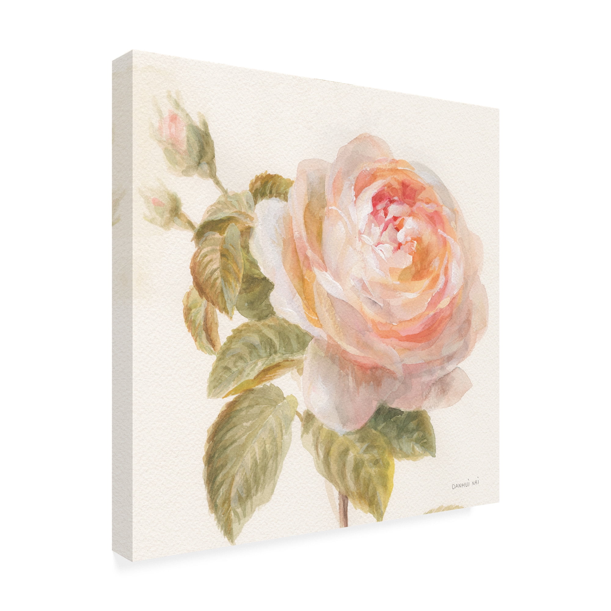 Trademark Fine Art 'Garden Rose Painting' Canvas Art by Danhui Nai