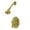 Polished Brass, variant on Kingston Brass Royale Single Handle Shower Faucet
